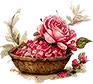 Fresh Rose Selection